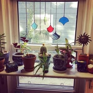 Meet your Posher, Colleen